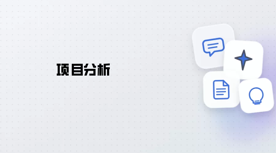 项目分析