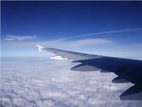飞机 东方航空 (图片版权所属:站长之家) 飞机 东方航空