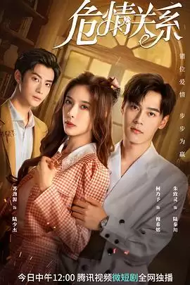 电视剧《危情关系》剧情介绍