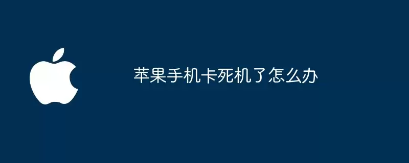 苹果手机卡死机了如何办