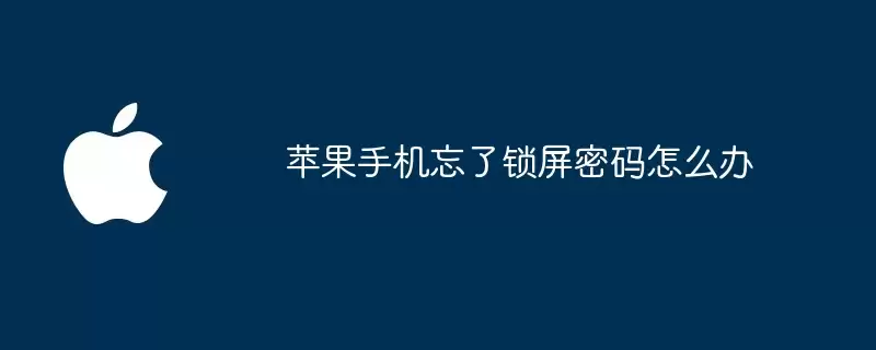 苹果手机忘了锁屏密码如何办