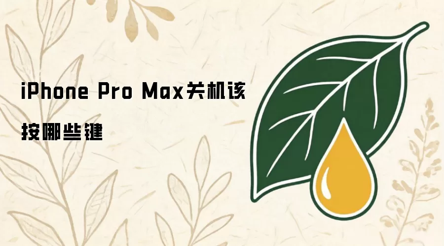 iPhone Pro Max关机该按哪些键