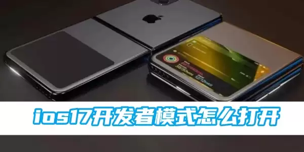 ios17开发者模式怎么打开 开发者模式打开做法