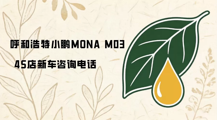 呼和浩特小鹏MONA M03 4S店新车咨询电话