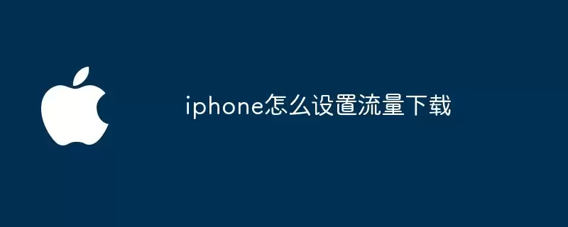 iphone如何设置流量下载