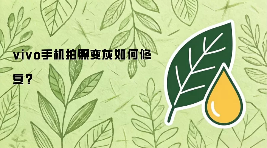 vivo手机拍照变灰如何修复？