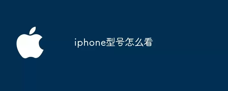 iphone型号如何看