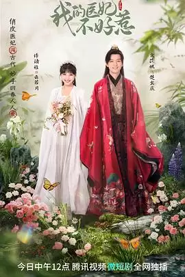 电视剧《我的医妃不好惹3》剧情说明