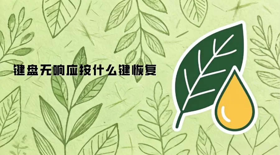 键盘无响应按什么键恢复