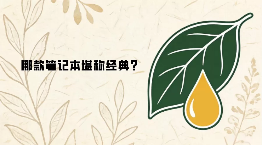 哪款笔记本堪称经典？