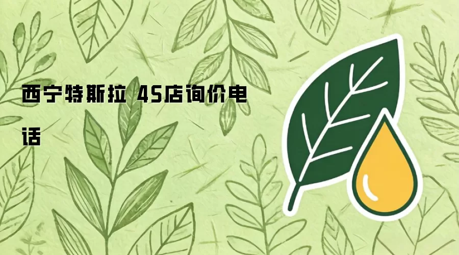 西宁特斯拉 4S店询价电话