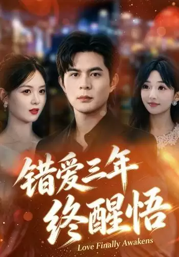 短剧《错爱三年终醒悟》剧情介绍