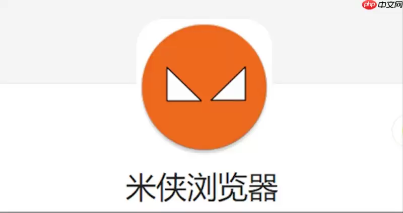 米侠浏览器页面加载缓慢如何优化