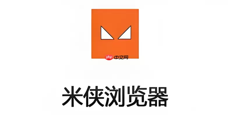 米侠浏览器地址栏无法搜索如何办