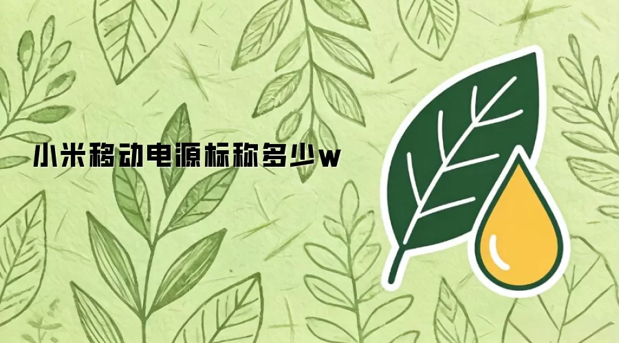 小米移动电源标称多少w