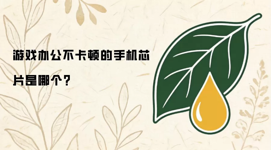 游戏办公不卡顿的手机芯片是哪个？