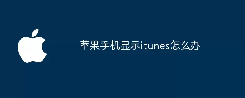 苹果手机显示itunes如何办