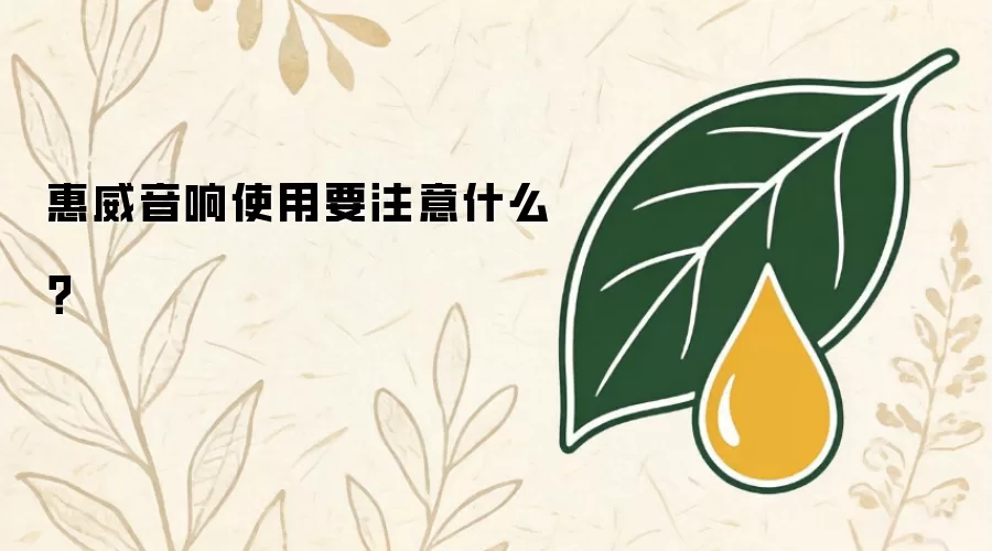 惠威音响使用要注意什么？