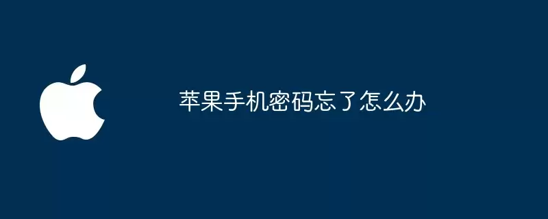 苹果手机密码忘了如何办
