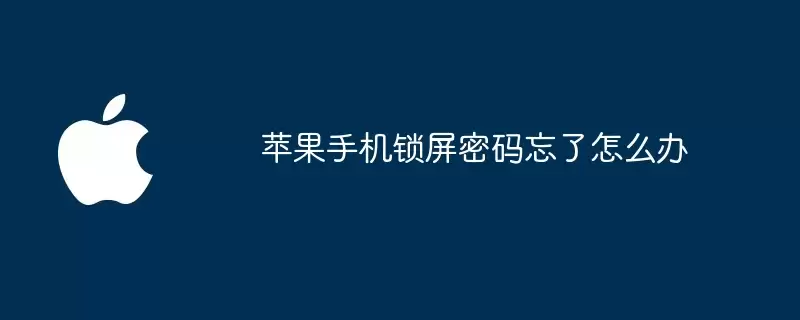 苹果手机锁屏密码忘了如何办
