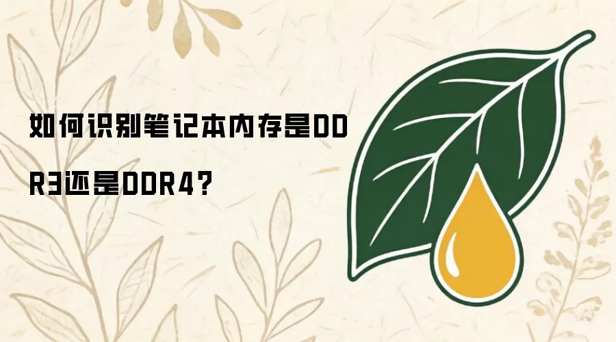 如何识别笔记本内存是DDR3还是DDR4？