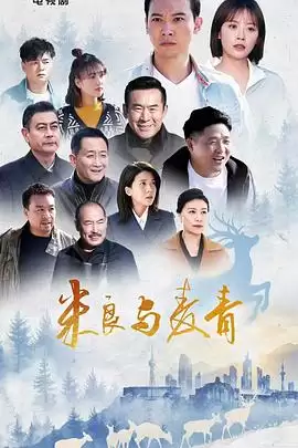 电视剧《米良与麦青》剧情说明