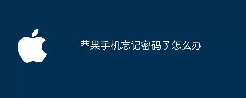 苹果手机忘记密码了如何办