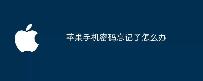 苹果手机密码忘记了如何办