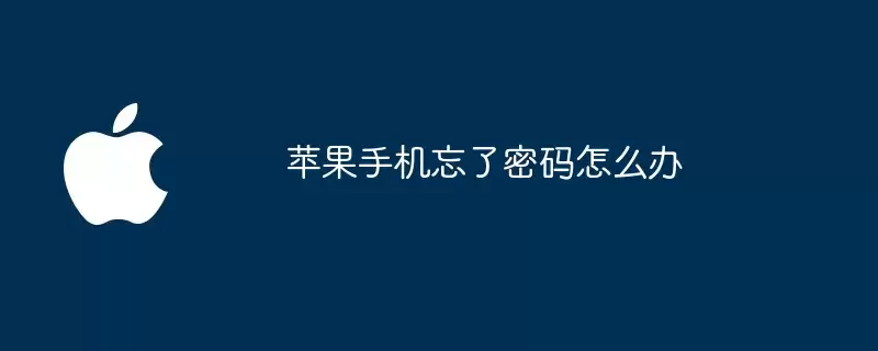 苹果手机忘了密码如何办