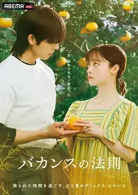 电视剧《度假法则》剧情说明