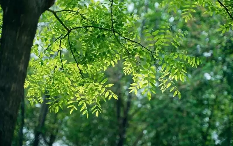 十日谈·你学会分享了吗 赵妃蓉：链接世界的方式