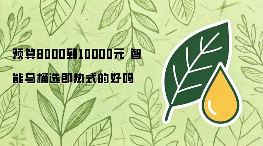 预算8000到10000元 智能马桶选即热式的好吗