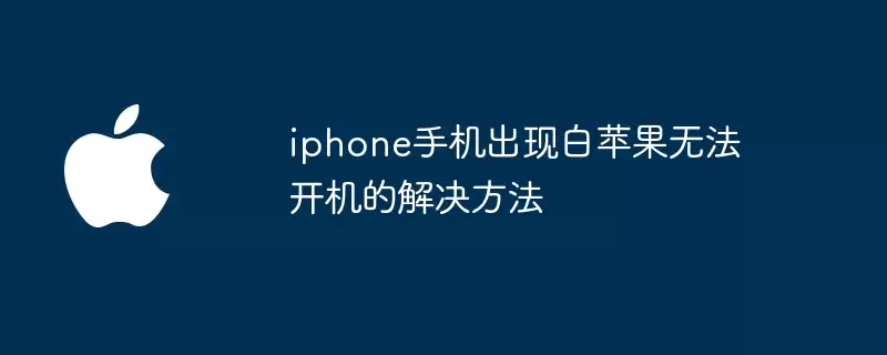 iphone手机出现白苹果无法开机的解决做法