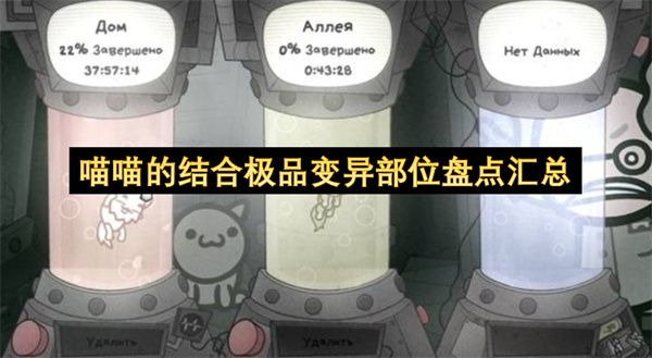 喵喵的结合极品变异部位盘点汇总