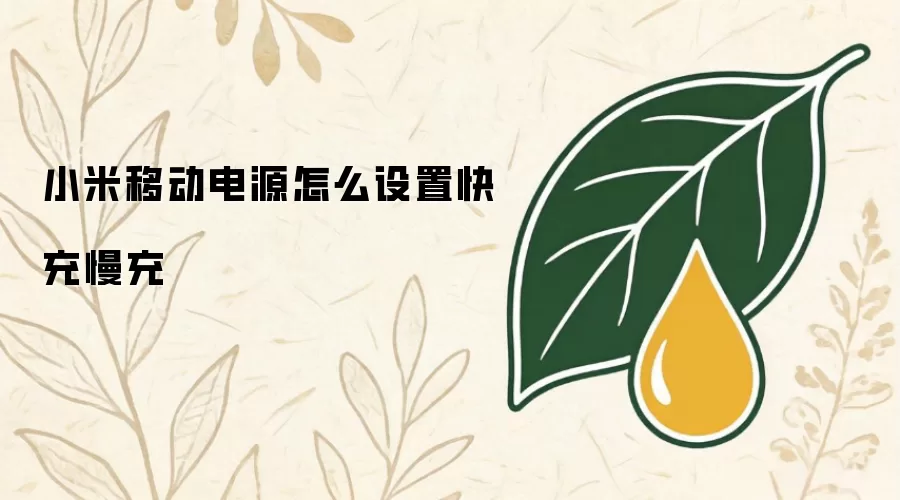 小米移动电源怎么设置快充慢充
