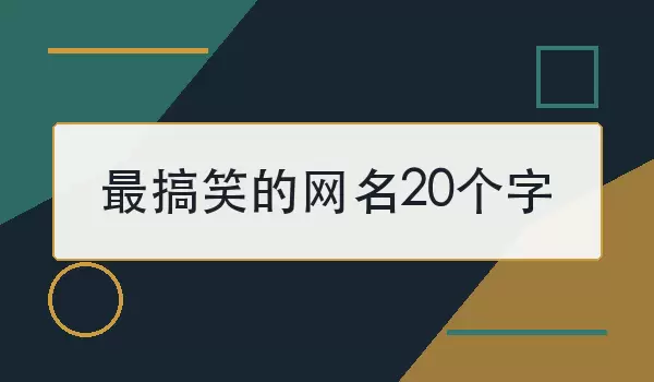 最搞笑的网名20个字