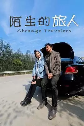 电影《陌生的旅人》剧情介绍