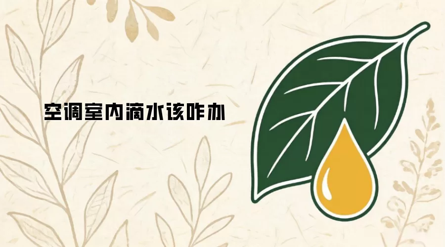 空调室内滴水该咋办