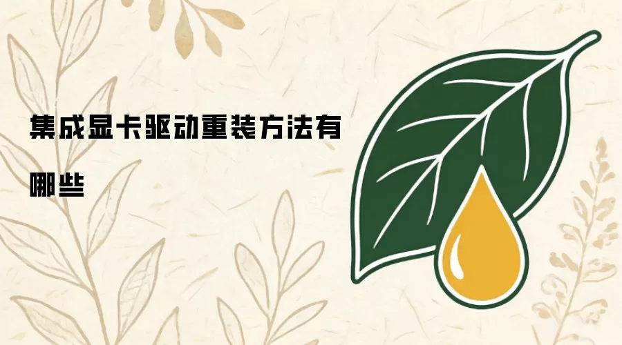 集成显卡驱动重装做法有哪些