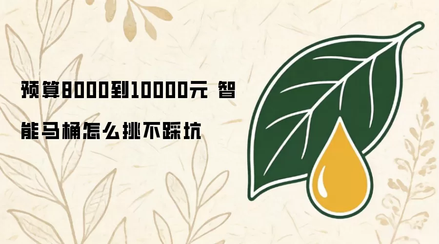 预算8000到10000元 智能马桶如何挑不踩坑