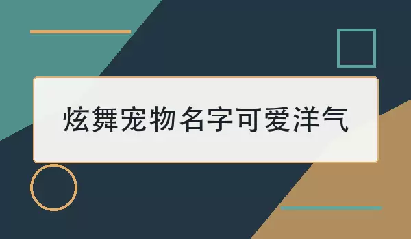 炫舞宠物名｜可爱洋气名字精选