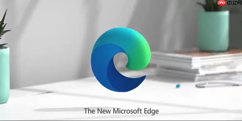 edge浏览器全屏播放视频黑屏如何解决