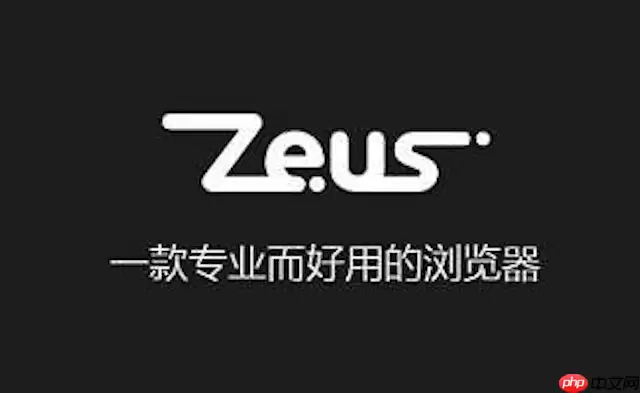 宙斯浏览器地址栏无法搜索如何解决