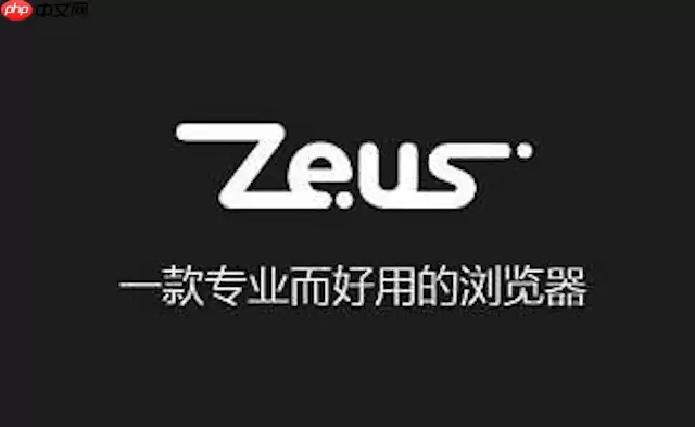 宙斯浏览器Cookie被禁用导致无法登录如何开启