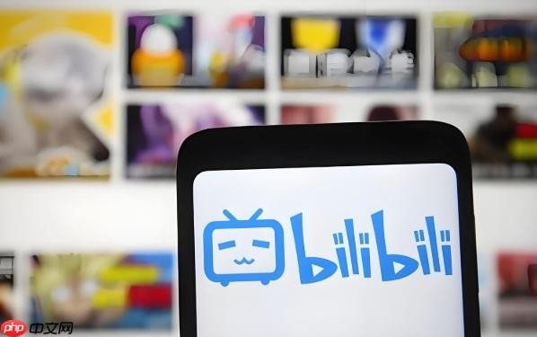 bilibili网页版入口-B站网页版访问地址​