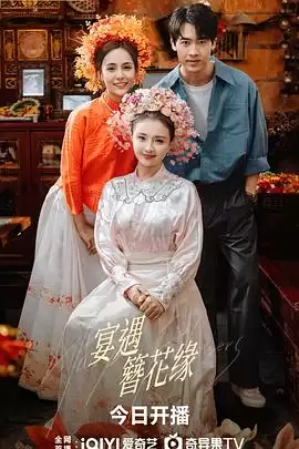 电视剧《宴遇簪花缘》剧情说明
