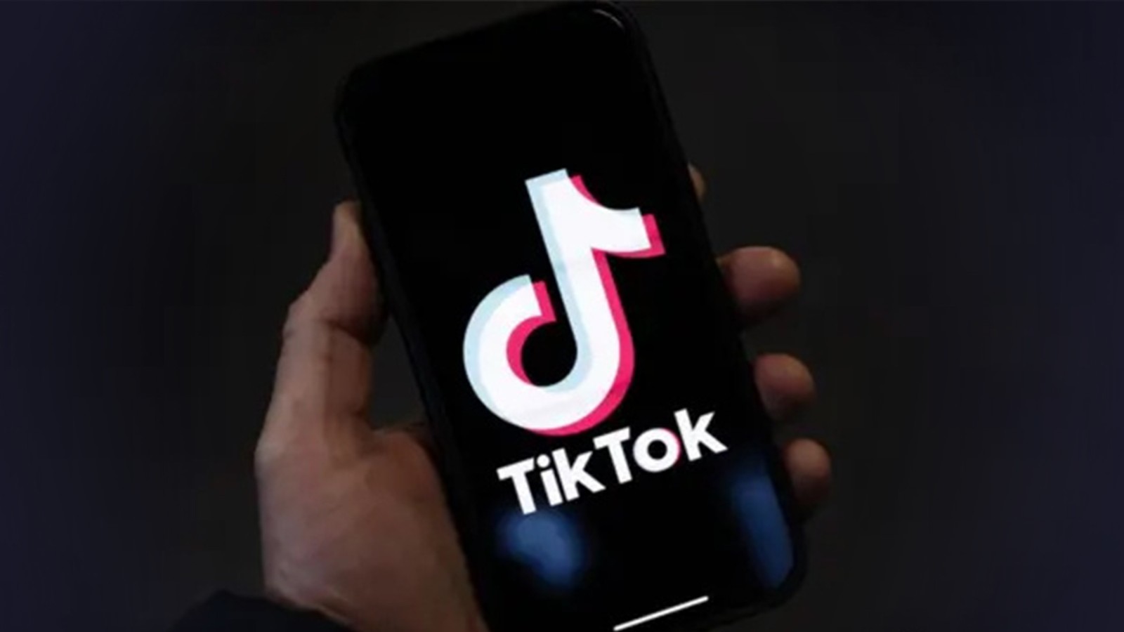 TikTok视频在线播放入口-TikTok官网视频直接观看