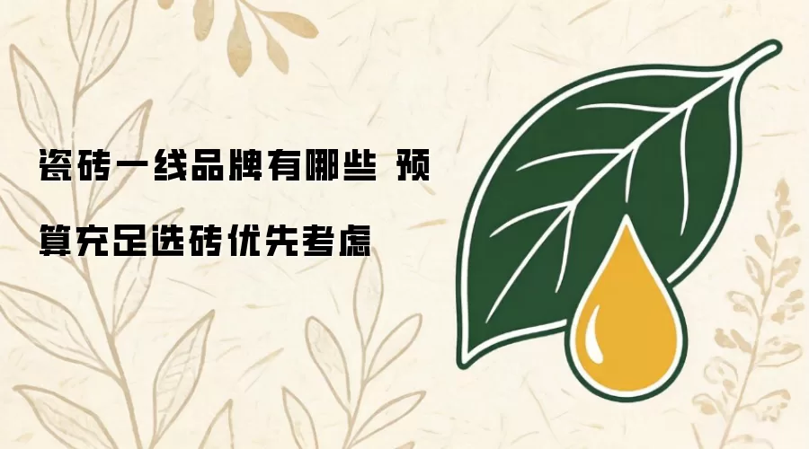 瓷砖一线品牌有哪些 预算充足选砖优先考虑