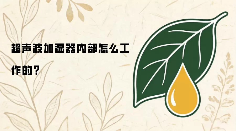 超声波加湿器内部怎么工作的?