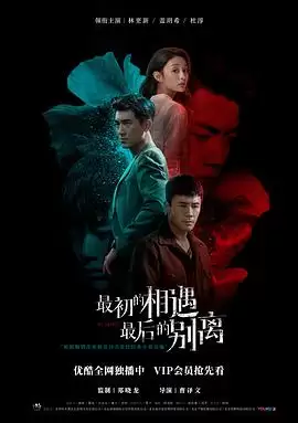 电视剧《最初的相遇,最后的别离》剧情介绍